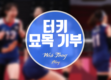 터키 묘목 기부