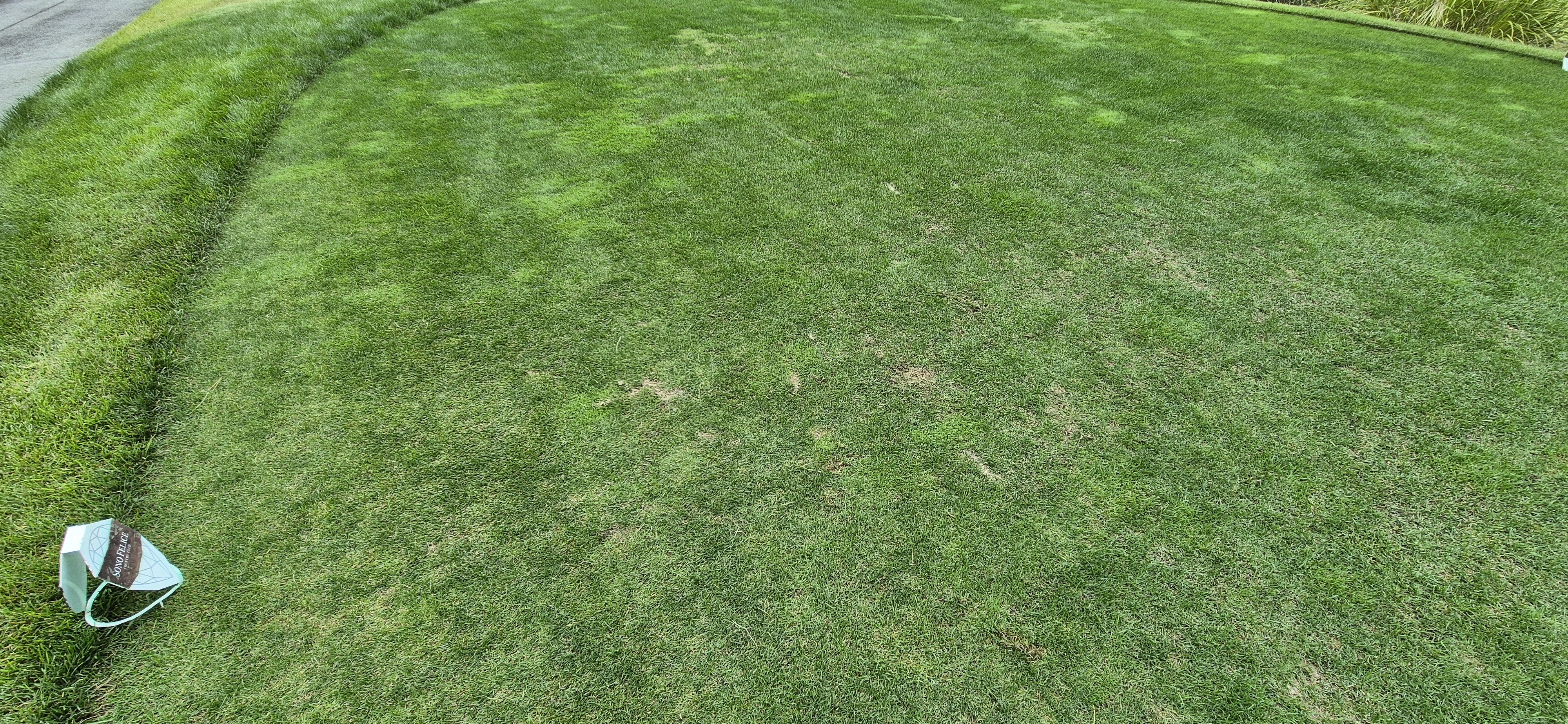 소노팰리체cc이스트