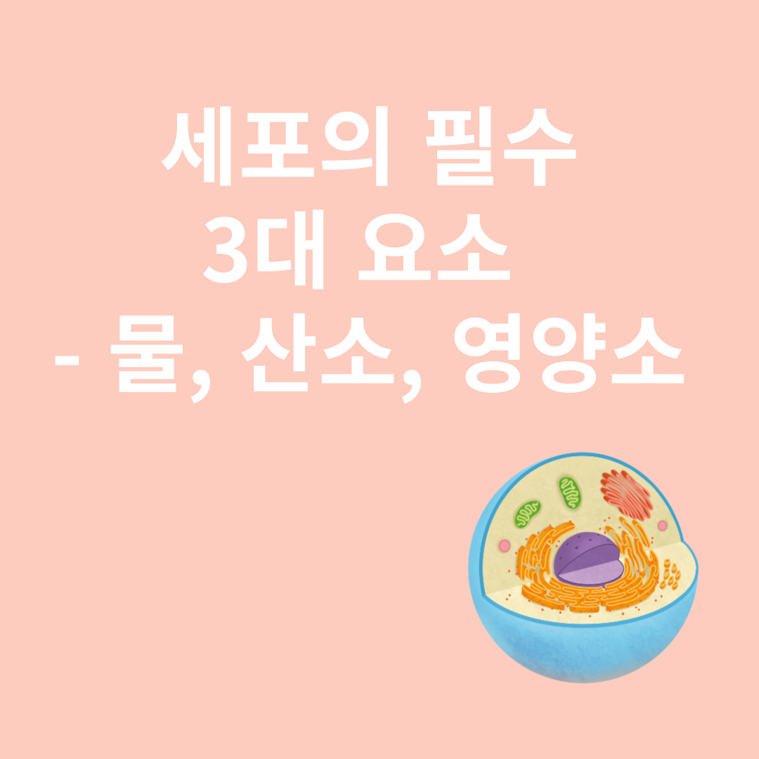 세포와 관련된 이미지
