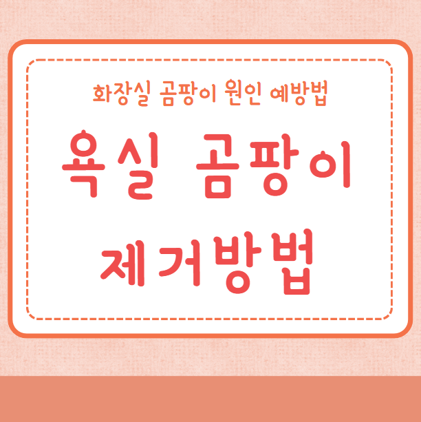 욕실 곰팡이 제거방법