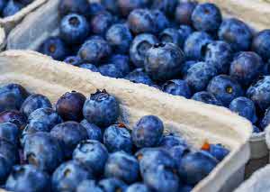 공복 혈당 낮추는 방법