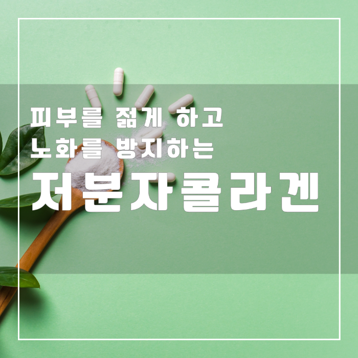 저분자 콜라겐