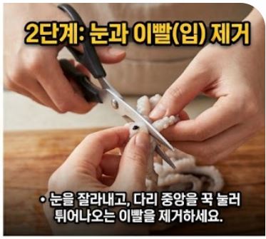 쭈꾸미 손질법