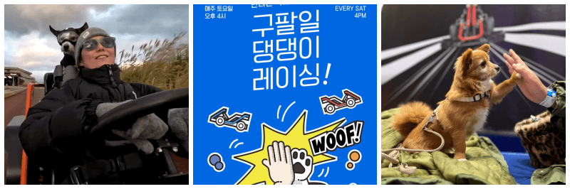 구팔일 댕댕이 레이싱 포토&#44; 포스터
