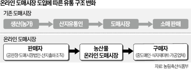 온라인 도매시장 도입에 따른 유통 구조 변화