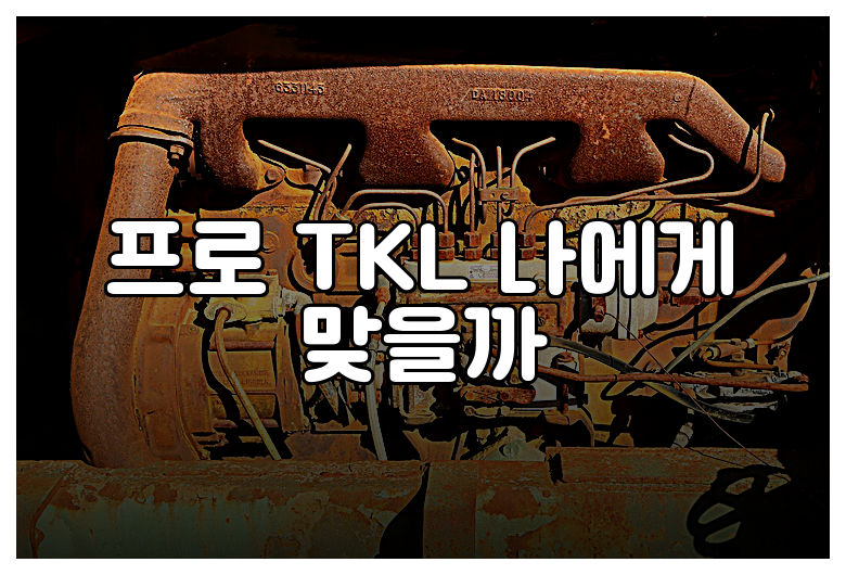 프로 TKL 나에게 맞을까
