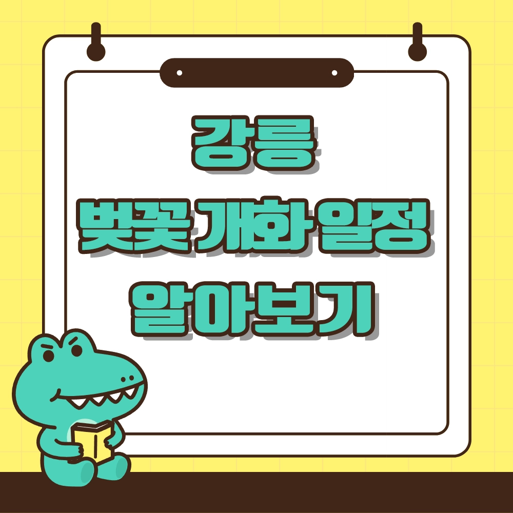 강릉 벚꽃 개화 시기