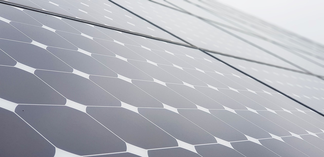 바이든 사퇴 관련주 수혜주 해리스 관련주