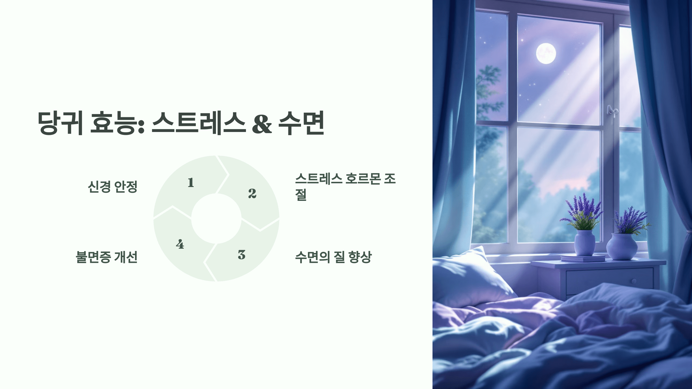 당귀 사진입니다.