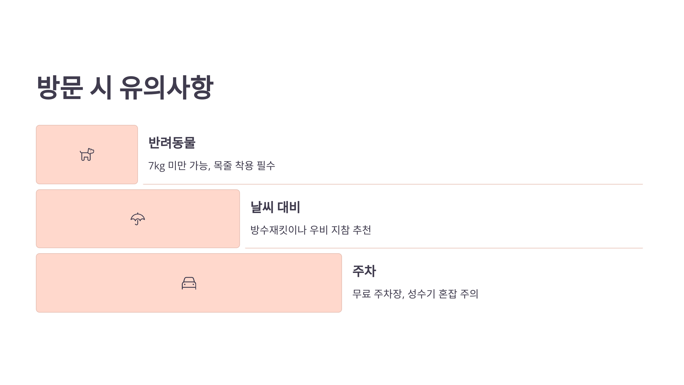 제주의 봄! 휴애리 유채꽃 축제!