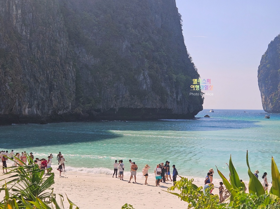 푸켓 스노클링, 피피섬 마야섬 몽키 비치 카이섬 투어 리뷰 코스 가격