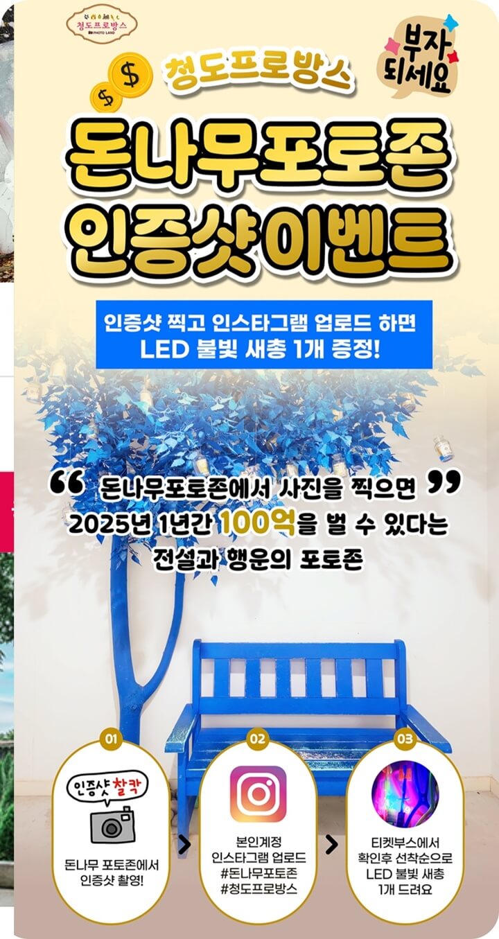 돈나무 포토존 인증샷 이벤트라고 적힌 종이