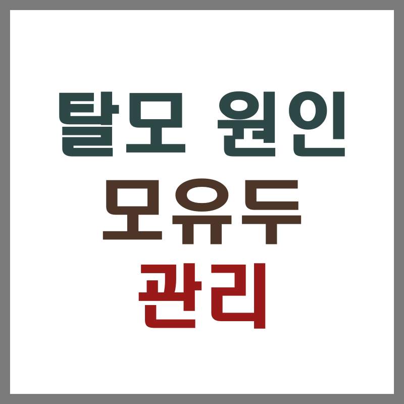 탈모원인 모유두 관리