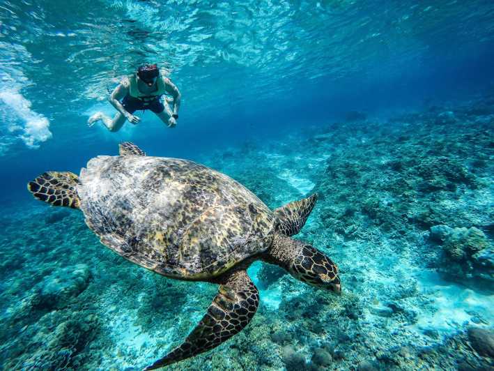 Bali_snorkeling