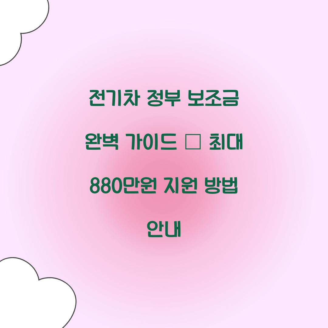 전기차 정부 보조금