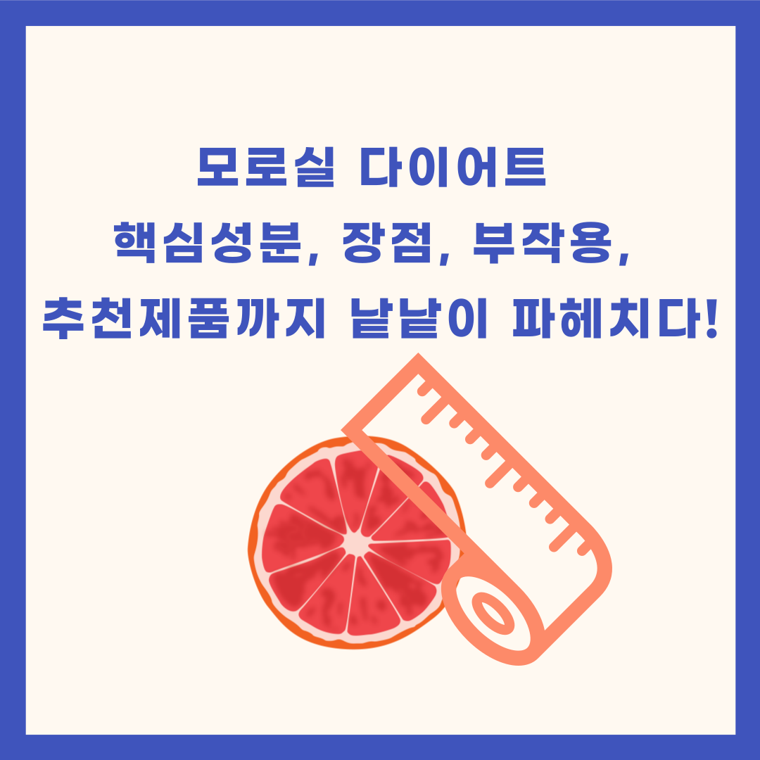 모로실 다이어트 핵심 성분, 장점, 추천 제품까지