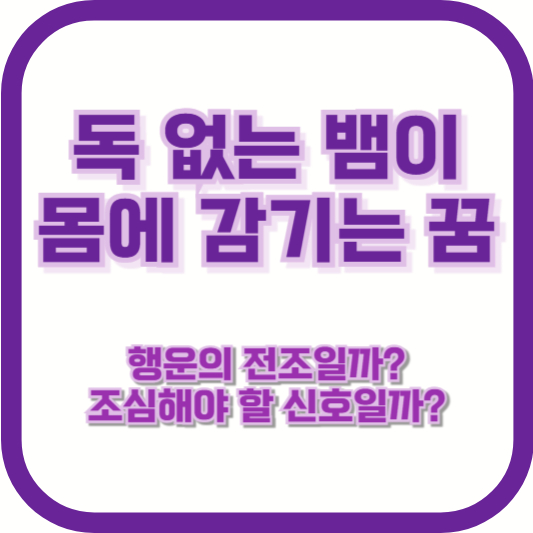 독 없는 뱀이 몸에 감기는 꿈, 행운의 전조일까? 조심해야 할 신호일까?