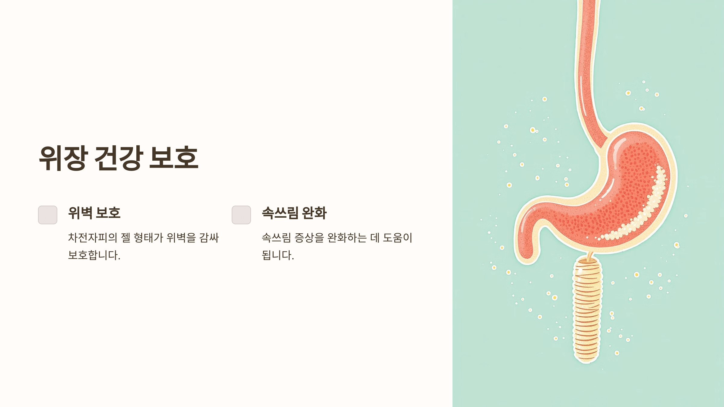 차전자피 사진입니다.