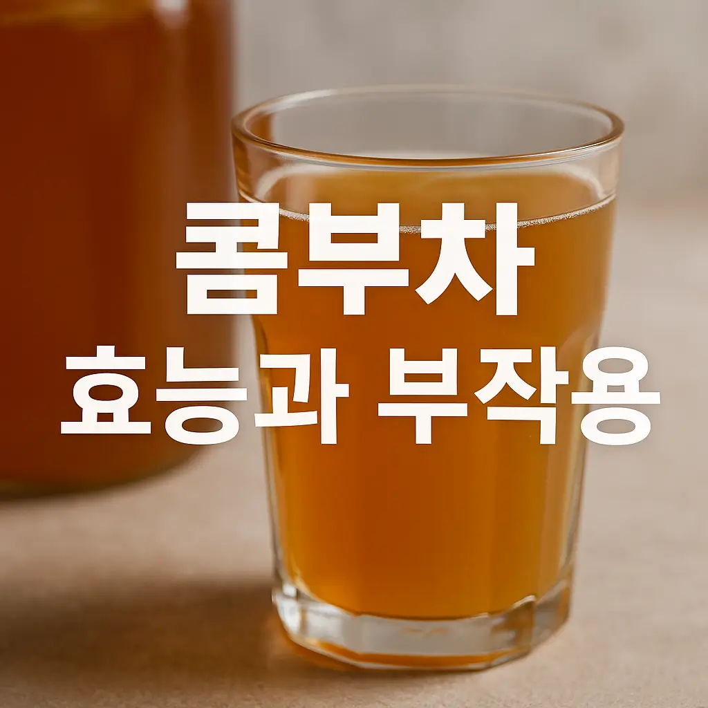콤부차 효능과 부작용