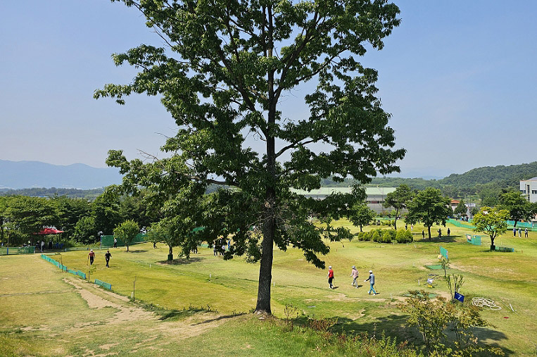 경상북도 성주 피닉스파크골프장 소개