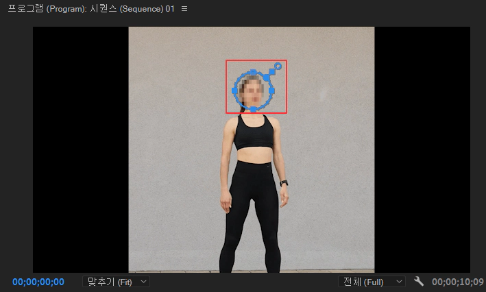 모자이크-크기-조절