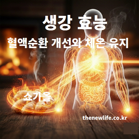 생강의 성분인 쇼가올이 혈액순환 개선과 체온 유지하는 효능을 설명하는 인공 이미지