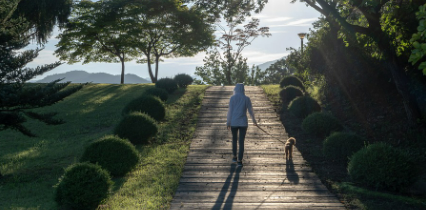 강아지와 산책하는 사람의 뒷모습 이미지