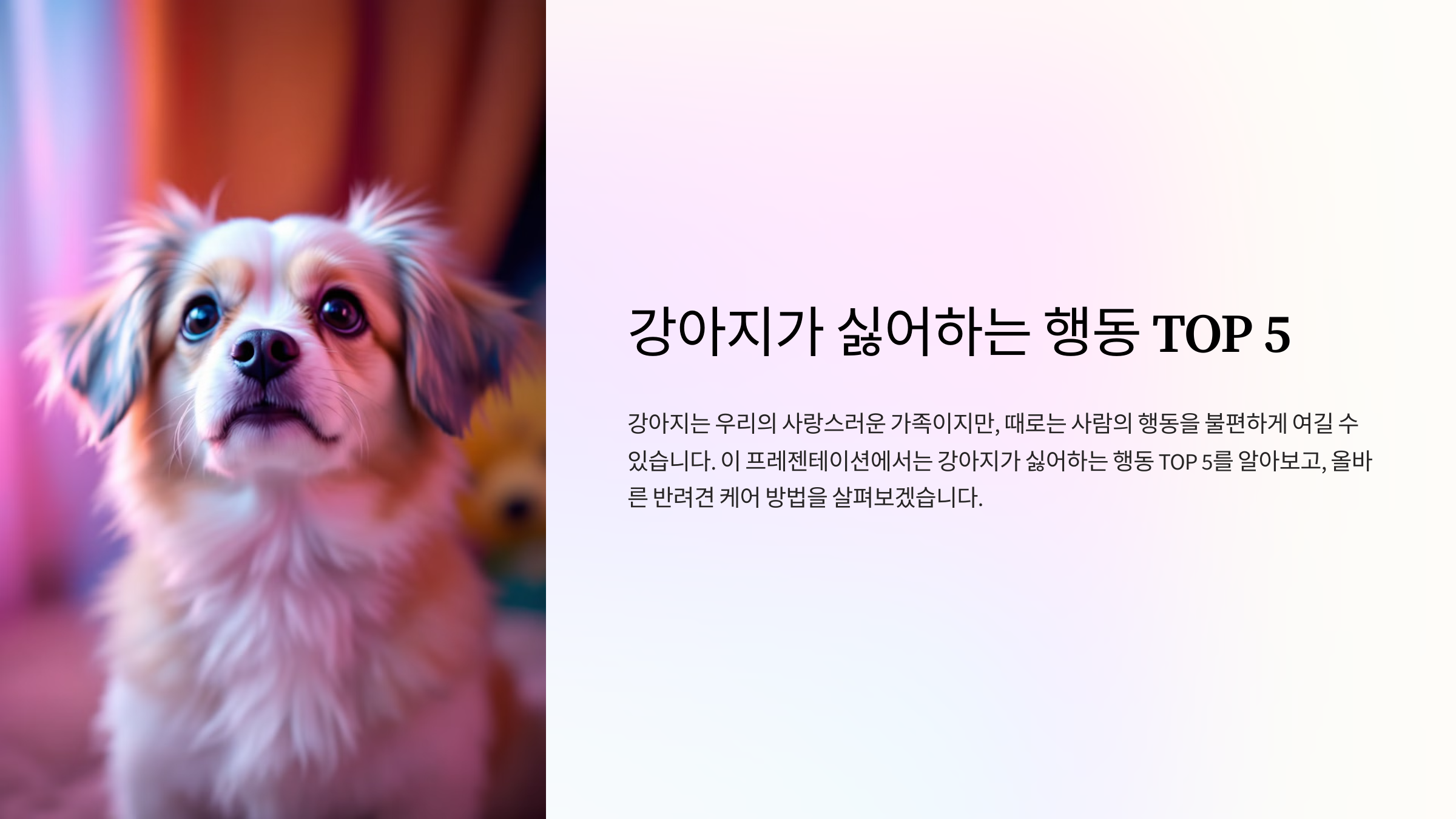 강아지가 싫어하는 행동 TOP 5, 꼭 피하세요!