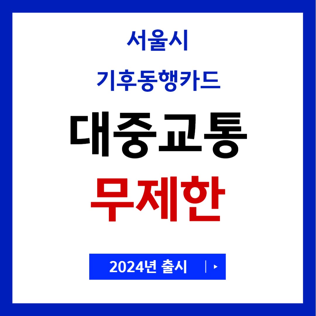 대중교통 무제한