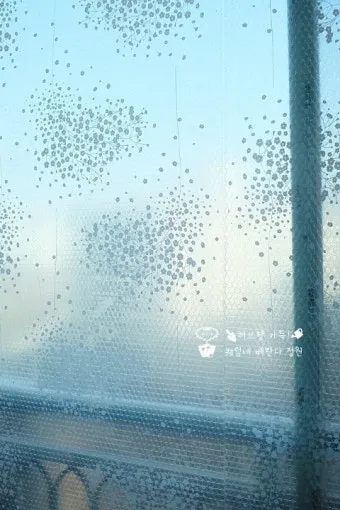창문 결로 해결 제습 환기 단열필름 물받이 트레이 팁_11