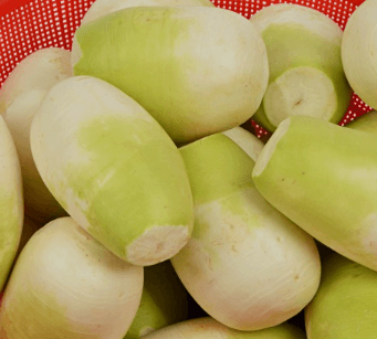 김장 담그기 좋은 배추 좋은 무 고르는방법