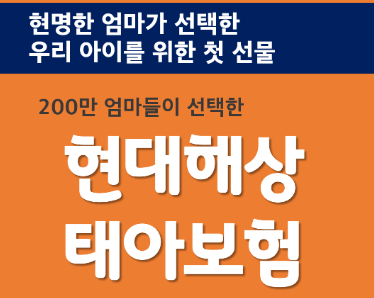 현대해상 태아보험