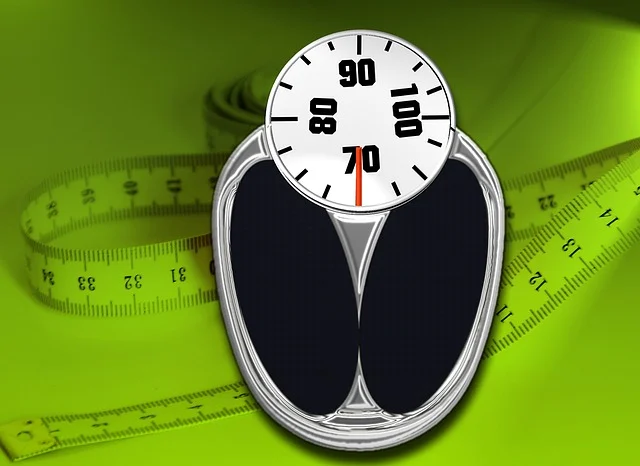 스위치온 다이어트란? 대사 스위치를 켜 지방 연소를 극대화하는 방법