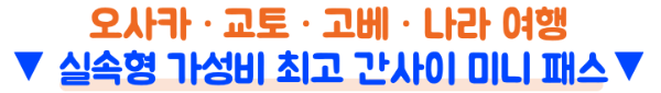 오사카-교통패스-비교-주유패스-간사이-레일웨이-패스-메트로-패스-e패스-라피트