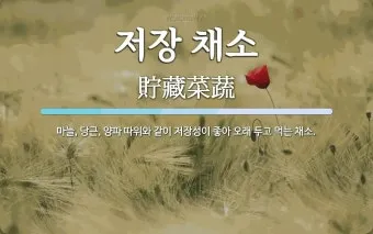 저장 채소 관리 감자 고구마 마늘 양파 배추 무 김장 준비_4