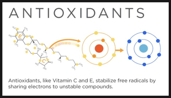 민트 아이스 녹차 만드는 방법