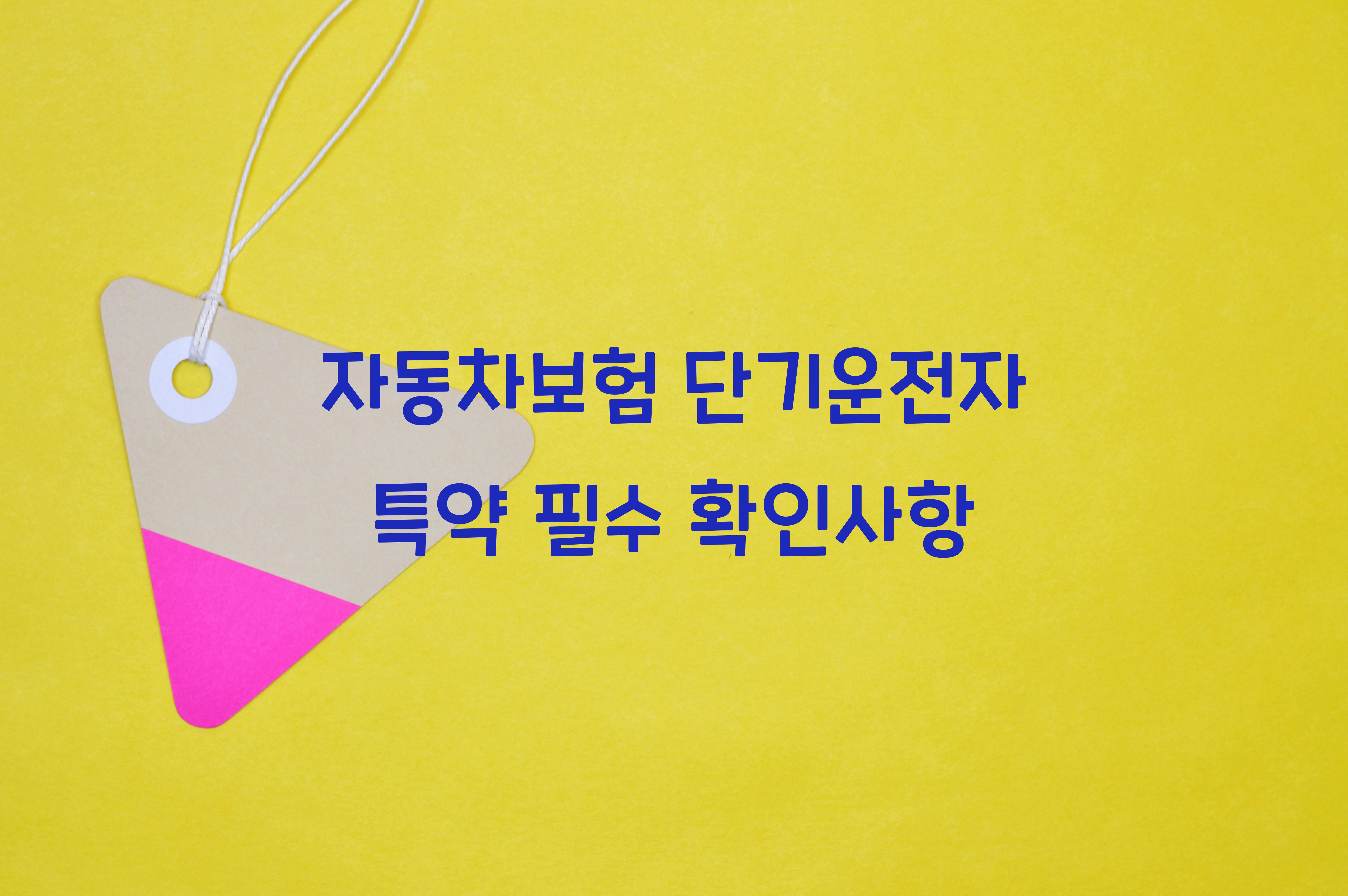 자동차보험 단기운전자 특약