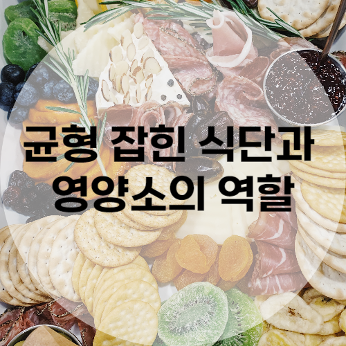 균형 잡힌 식단과 영양소의 역할