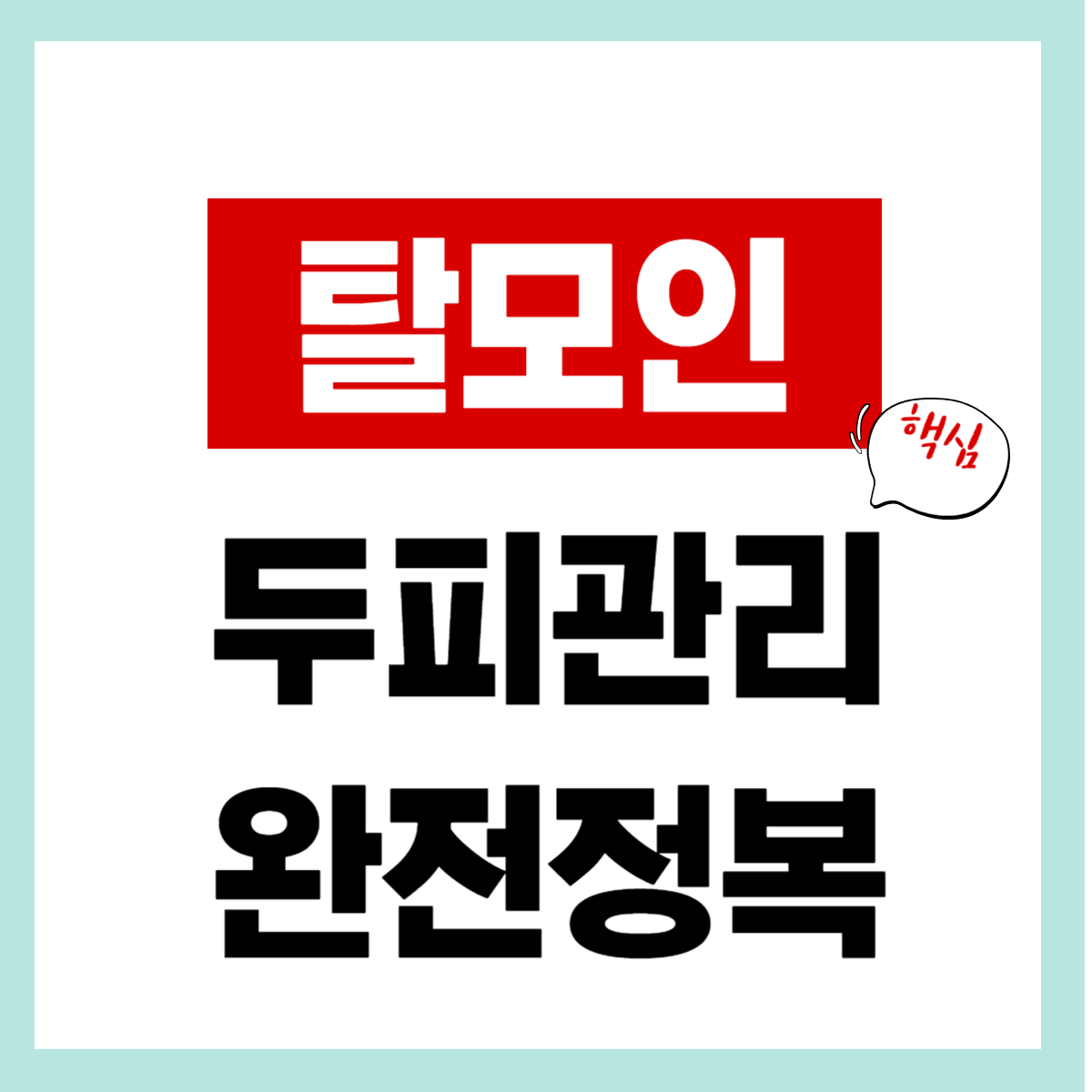 탈모인 두피관리 "핵심" 간편 확인하기