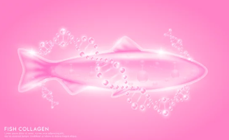 저분자 콜라겐/출처:어도비스톡