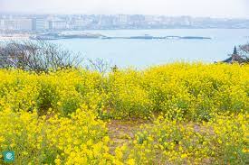 3월에 가볼 만한 국내 여행지 BEST 7 (봄꽃 명소 포함)