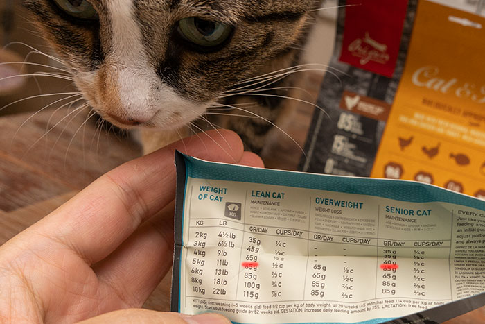 오리젠 식스피쉬 적정 급여량