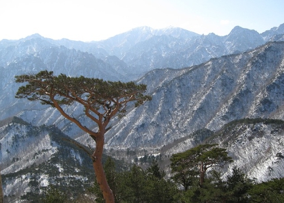 설악산 국립공원 실시간 cctv
