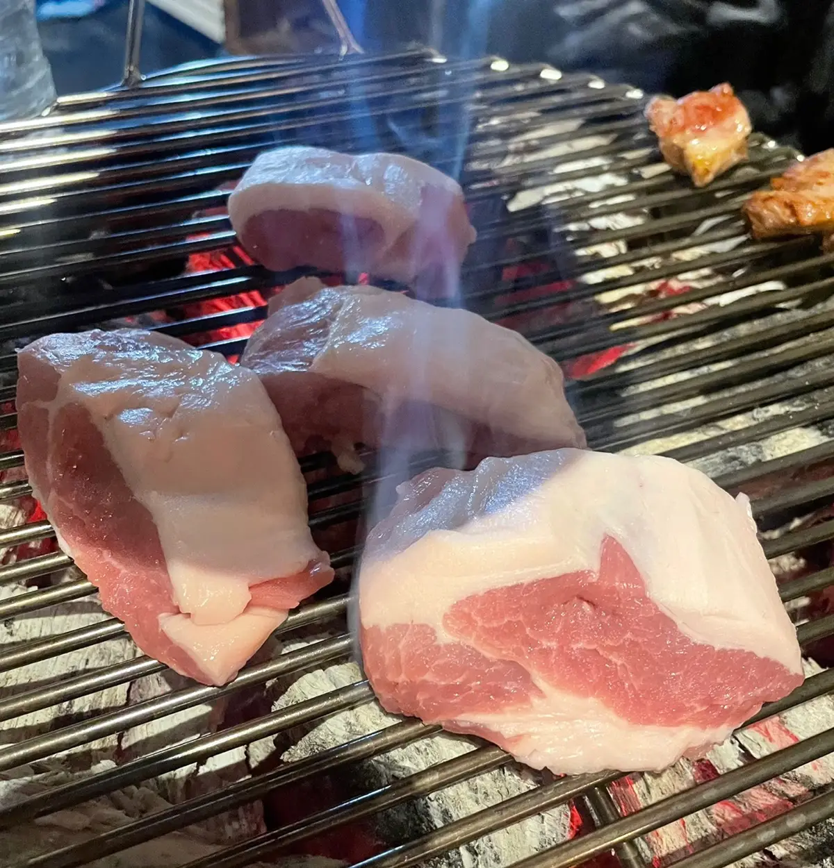 남영돈-가브리살