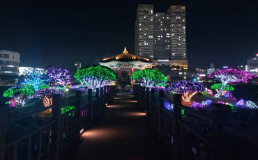 태안 네이처월드 빛축제 꽃정원
