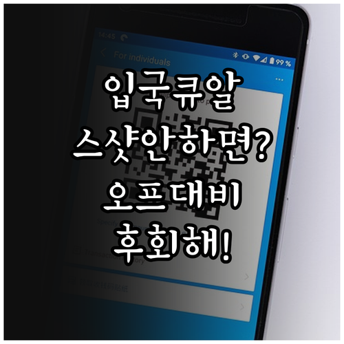 중국 입국 신고서 QR 코드 스크린샷..