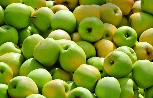 사과 종류