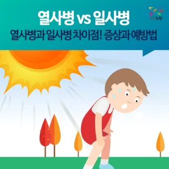 일사병 위험 수분 전해질 챙기기 그늘 휴식 간격_22