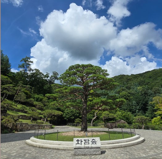 2025 화담숲 예약 성공 팁ㅣ모노레일 이용부터 관람 동선까지