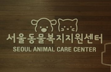 반려동물 지원비